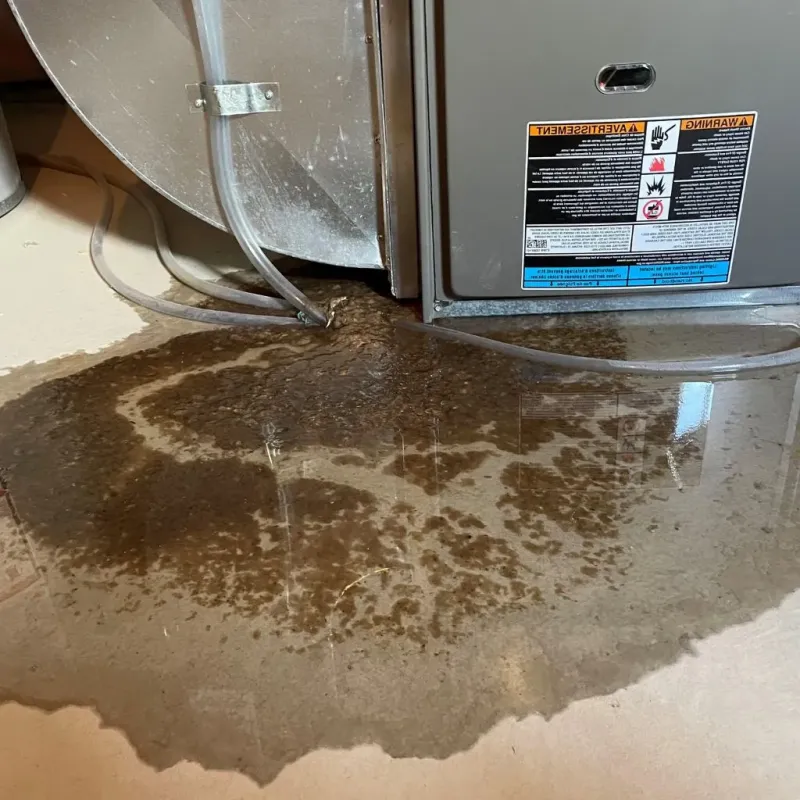 Pipe Burst and Leak Restoration in Hamilton County, TN