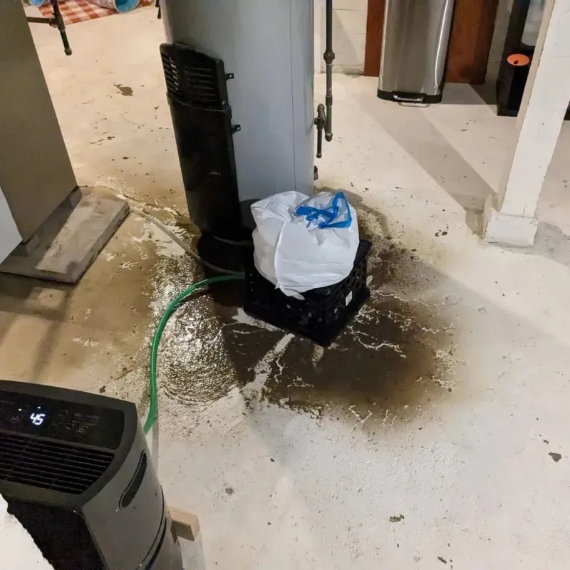 Sewage Backup Cleanup Service in Hamilton County, TN
